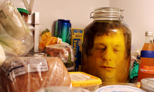 Fake Head In Fridge Prank