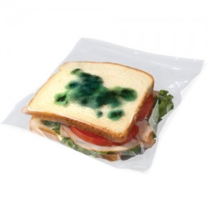 Moldy Sandwich Bag