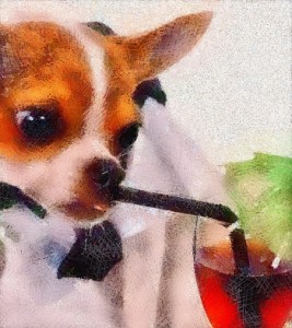 pastel-pet-portrait