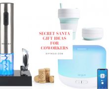 Secret Santa Gift Ideas For Coworkers