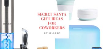 Secret Santa Gift Ideas For Coworkers