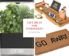 Gift Ideas For Introverts