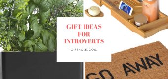 Gift Ideas For Introverts