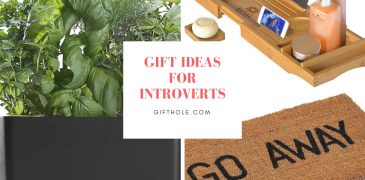 Gift Ideas For Introverts