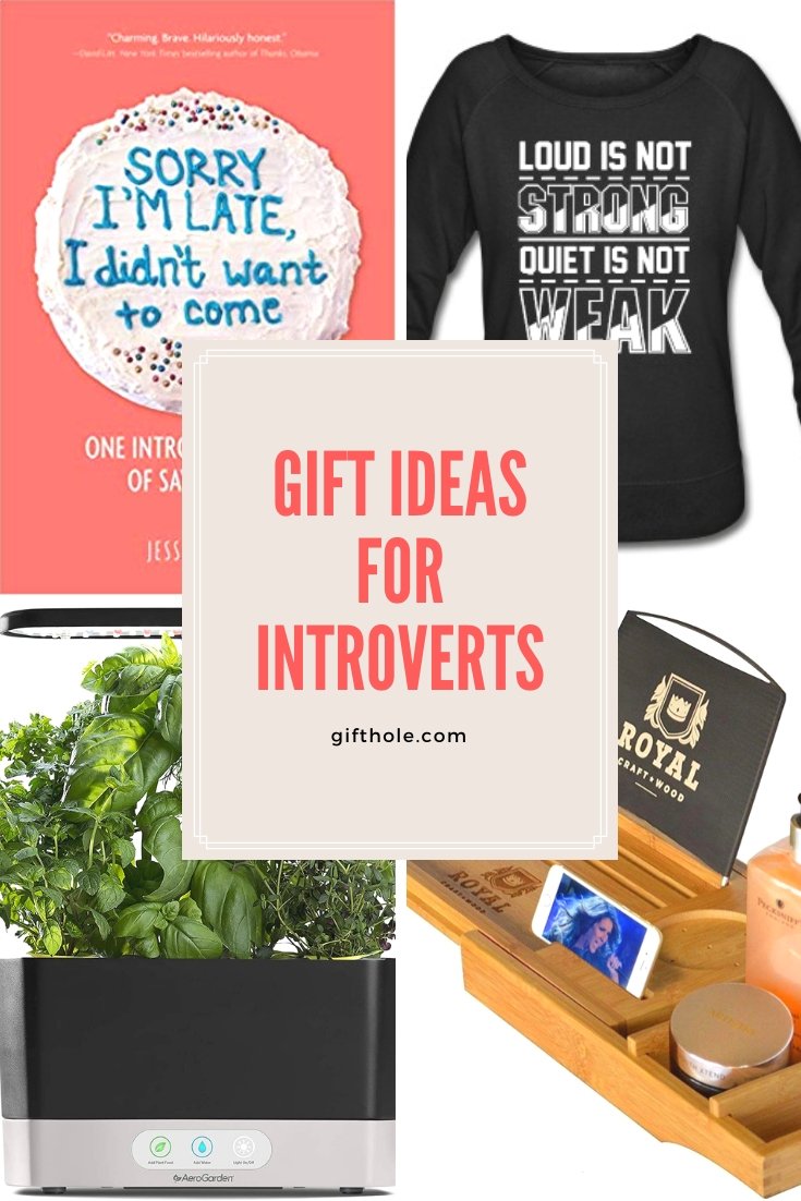 Gift Ideas For Introverts Pinterest