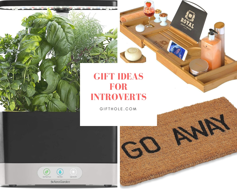 Gift Ideas For Introverts